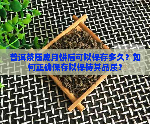 普洱茶压成月饼后可以保存多久？如何正确保存以保持其品质？