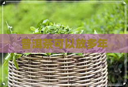 普洱茶可以放多年