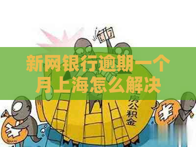 新网银行逾期一个月上海怎么解决