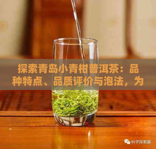 探索青岛小青柑普洱茶：品种特点、品质评价与泡法，为你提供全面的品鉴指南