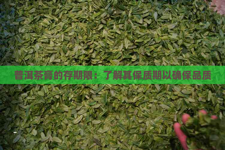 普洱茶膏的存期限：了解其保质期以确保品质