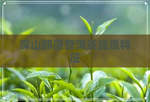 深山部落普洱茶品质特征