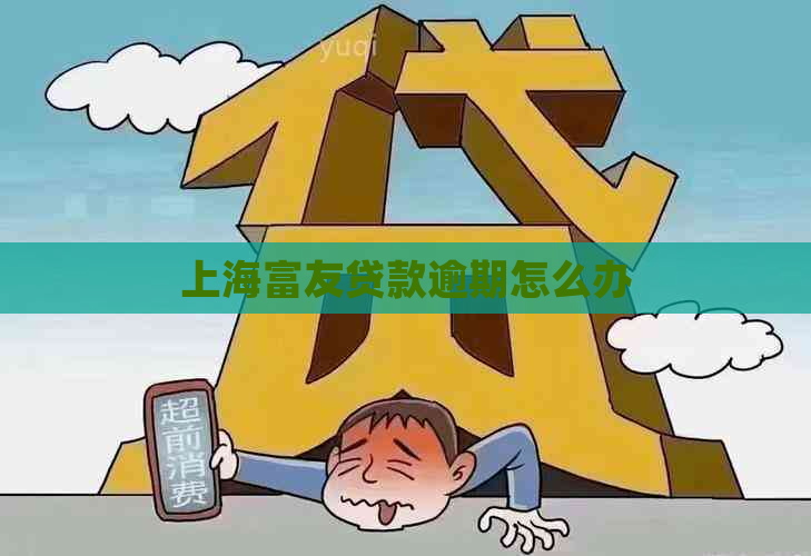 上海富友贷款逾期怎么办