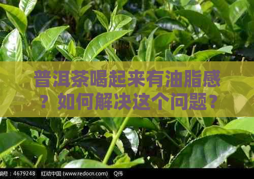 普洱茶喝起来有油脂感？如何解决这个问题？