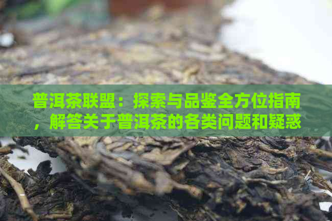 普洱茶联盟：探索与品鉴全方位指南，解答关于普洱茶的各类问题和疑惑