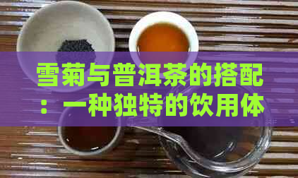 雪菊与普洱茶的搭配：一种独特的饮用体验，是否可行？