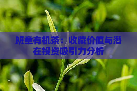 班章有机茶：收藏价值与潜在投资吸引力分析