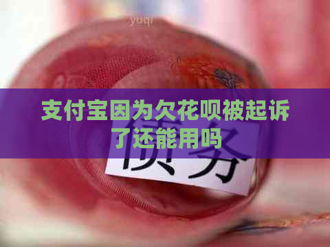 支付宝因为欠花呗被起诉了还能用吗