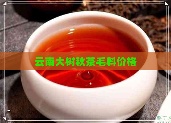 云南大树秋茶毛料价格