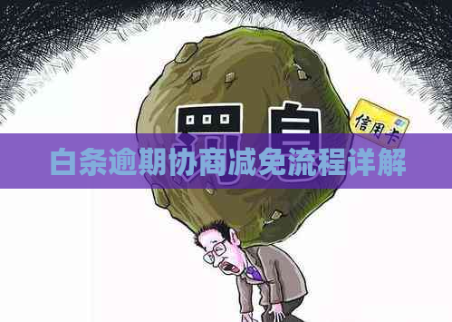 白条逾期协商减免流程详解