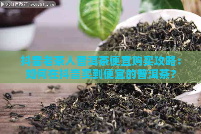 抖音老茶人普洱茶便宜购买攻略：如何在抖音买到便宜的普洱茶？