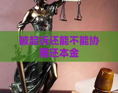 被起诉还能不能协商还本金