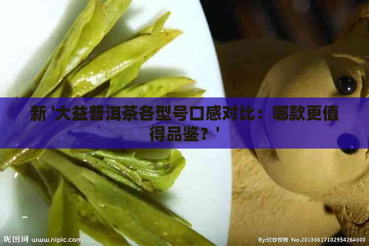 新 '大益普洱茶各型号口感对比：哪款更值得品鉴？'