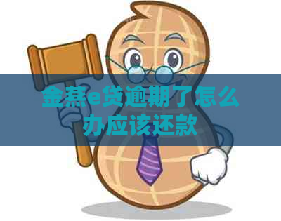 金燕e贷逾期了怎么办应该还款