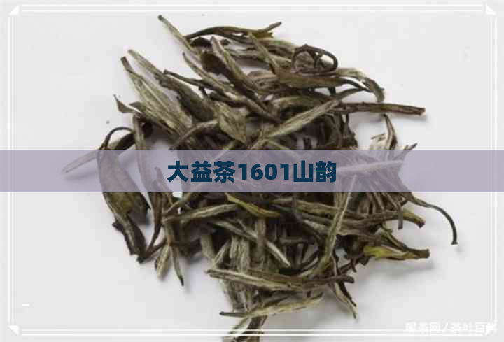 大益茶1601山韵