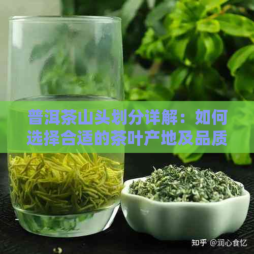 普洱茶山头划分详解：如何选择合适的茶叶产地及品质