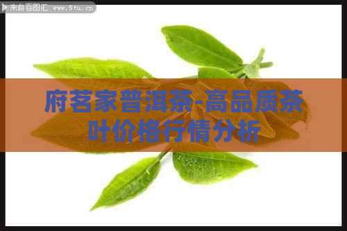 府茗家普洱茶-高品质茶叶价格行情分析