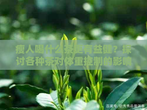 瘦人喝什么茶更有益健？探讨各种茶对体重控制的影响