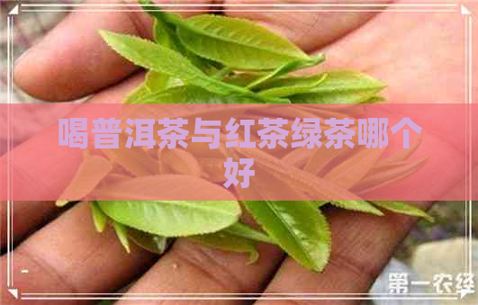 喝普洱茶与红茶绿茶哪个好