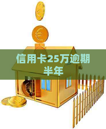 信用卡25万逾期半年