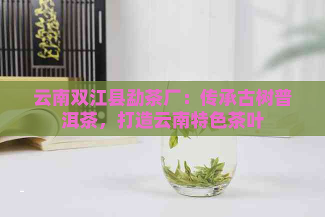 云南双江县勐茶厂：传承古树普洱茶，打造云南特色茶叶