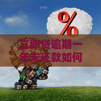 立即贷逾期一年未还款如何解决