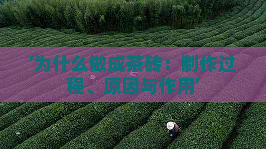 '为什么做成茶砖：制作过程、原因与作用'