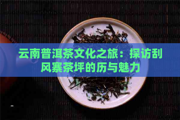 云南普洱茶文化之旅：探访刮风寨茶坪的历与魅力