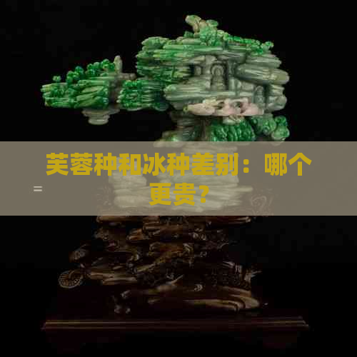 芙蓉种和冰种差别：哪个更贵？