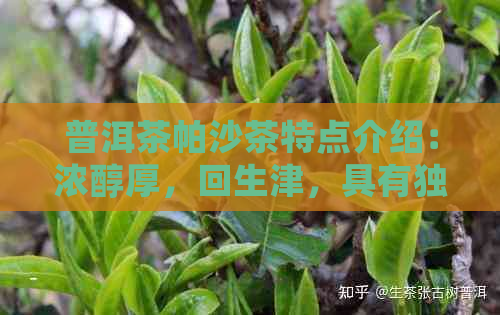 普洱茶帕沙茶特点介绍：浓醇厚，回生津，具有独特的陈香和菌香。