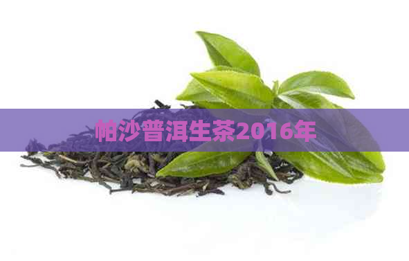 帕沙普洱生茶2016年