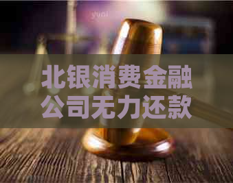 北银消费金融公司无力还款原因分析及解决方案