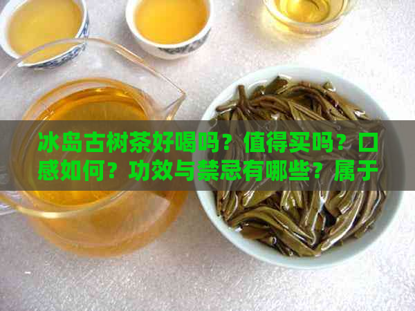 冰岛古树茶好喝吗？值得买吗？口感如何？功效与禁忌有哪些？属于什么茶？