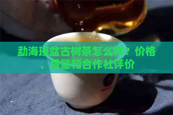 勐海班盆古树茶怎么样？价格、质量和合作社评价