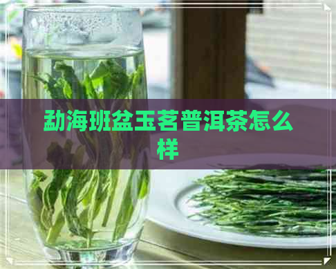 勐海班盆玉茗普洱茶怎么样