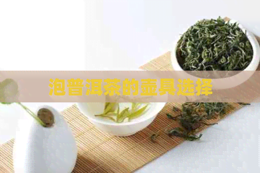 泡普洱茶的壶具选择