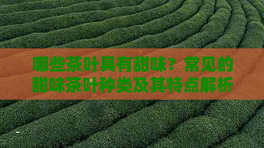 哪些茶叶具有甜味？常见的甜味茶叶种类及其特点解析