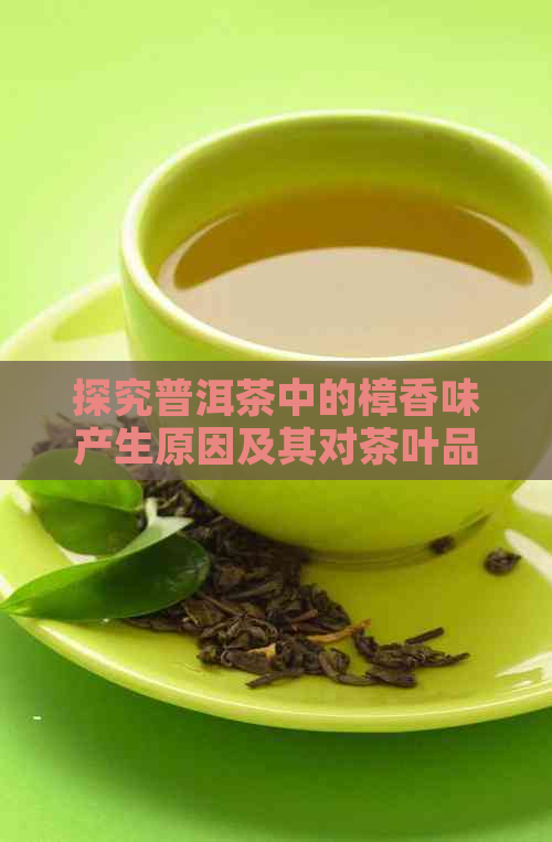 探究普洱茶中的樟香味产生原因及其对茶叶品质的影响