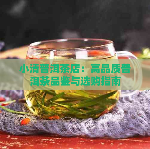 小清普洱茶店：高品质普洱茶品鉴与选购指南