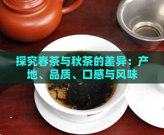 探究春茶与秋茶的差异：产地、品质、口感与风味