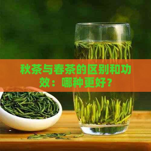 秋茶与春茶的区别和功效：哪种更好？