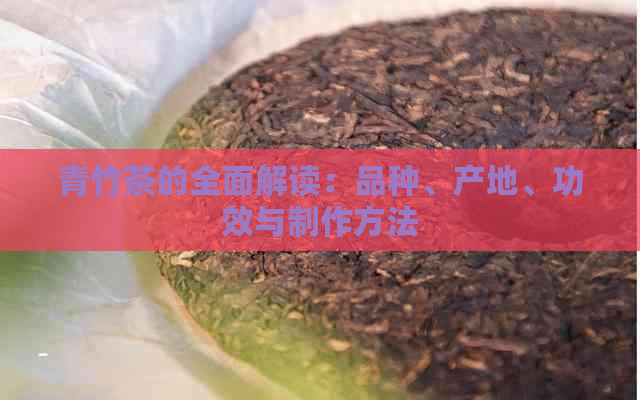 青竹茶的全面解读：品种、产地、功效与制作方法