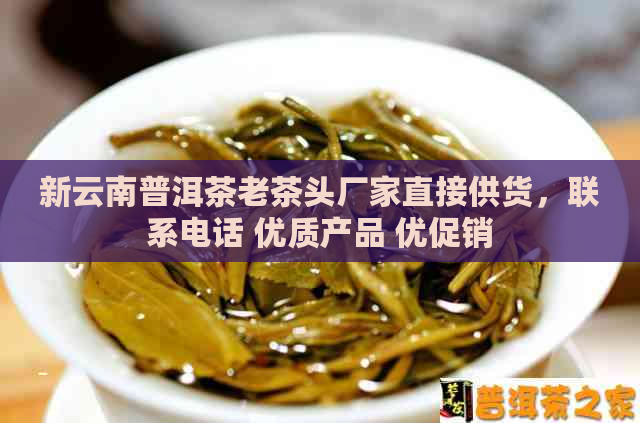 新云南普洱茶老茶头厂家直接供货，联系电话 优质产品 优促销