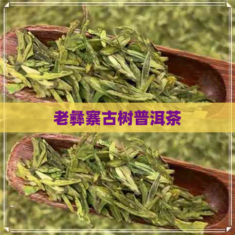 老彝寨古树普洱茶