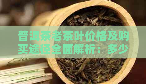 普洱茶老茶叶价格及购买途径全面解析：多少钱一斤？哪里可以买到正品？