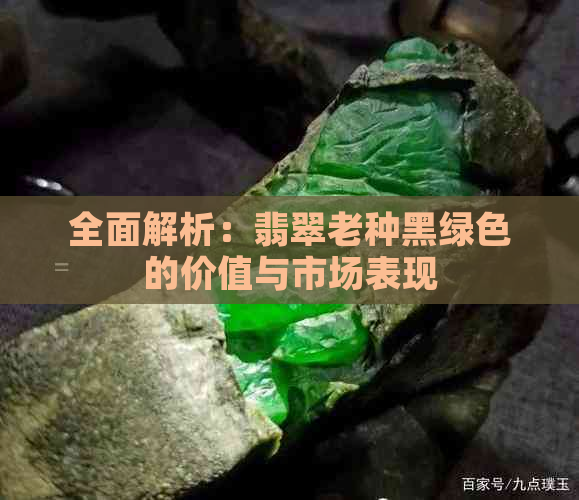 全面解析：翡翠老种黑绿色的价值与市场表现