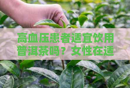 高血压患者适宜饮用普洱茶吗？女性在适量范围内应如何选择？