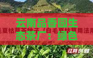 云南品香园生态茶厂：绿色茶叶生产基地，打造高品质普洱茶与乌龙茶的新标杆