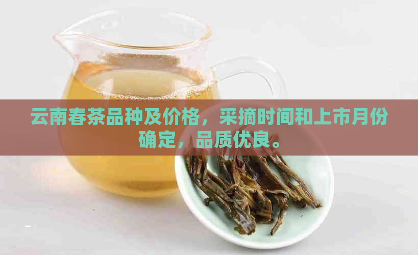 云南春茶品种及价格，采摘时间和上市月份确定，品质优良。