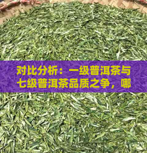 对比分析：一级普洱茶与七级普洱茶品质之争，哪个更胜一筹？